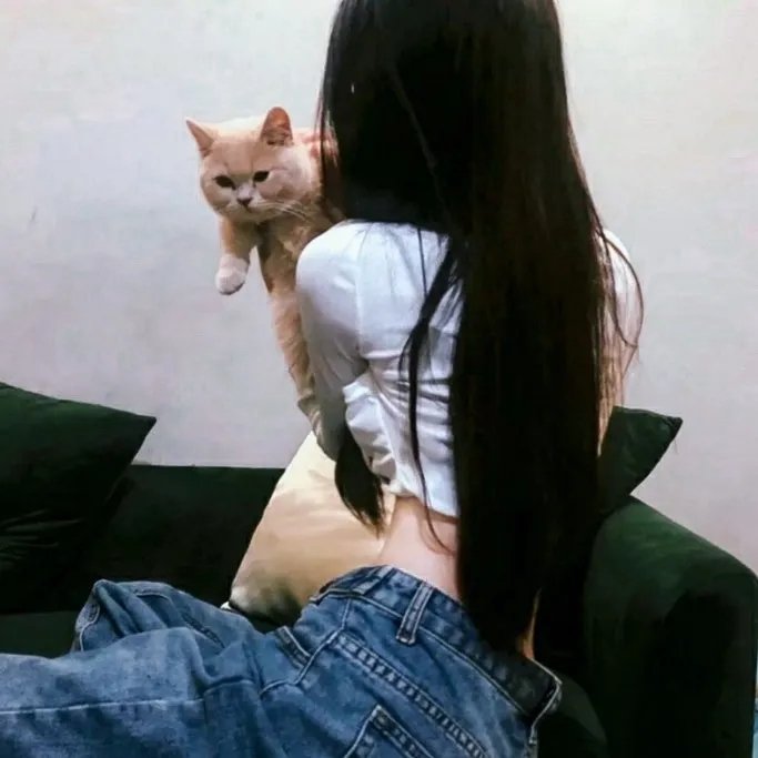 凤鸣笙歌